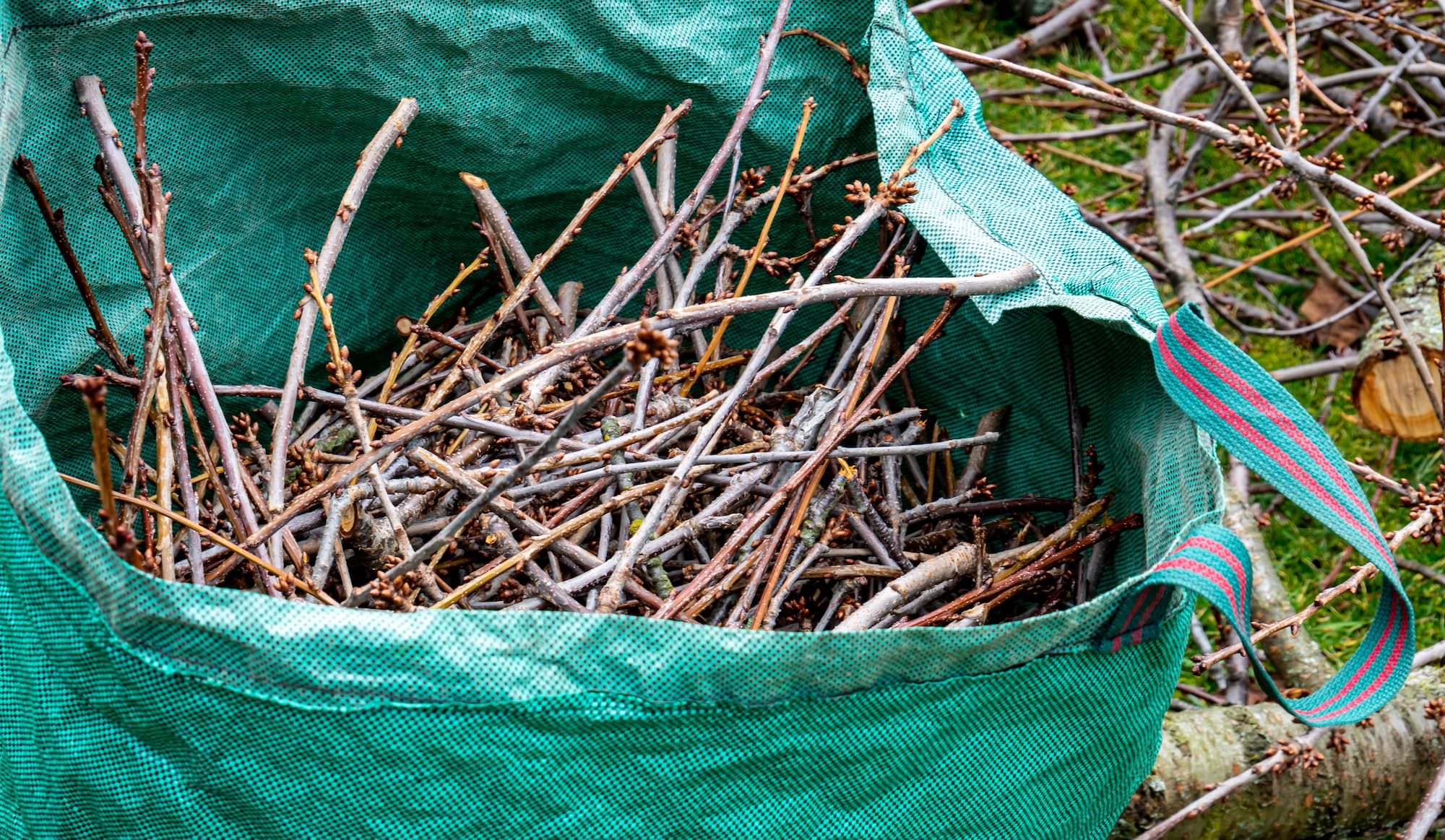 Comment fonctionne la valorisation des déchets verts et des végétaux ? Kingersheim